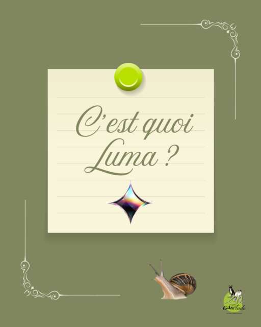 🐌Chez nous, dans le Berry, un luma, c'est un escargot. 
Mais rassure-toi : pour réserver tes ateliers et balades Zen Canitude, on ne va pas avancer à deux à l'heure ! ⚡

Désormais, tout mon calendrier d'événements passe par la plateforme Luma (promis, c'est bien plus rapide qu'un vrai luma).

🔍 Notice pour sortir de sa coquille en 4 étapes :

1️⃣ Ouvre les yeux : clique sur le lien https://luma.com/zencanitude
2️⃣ Fais ton marché : parcours les événements à venir (détection, ateliers, balades...).
3️⃣ Laisse ta trace : clique sur l'événement de ton choix pour réserver ta place en deux clics.
4️⃣ Garde les antennes sorties : abonne-toi au calendrier en cliquant sur « Suivre » pour recevoir les nouveautés direct dans ta boîte mail.