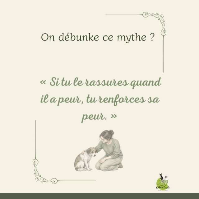 « Si tu le rassures quand il a peur, tu renforces sa peur » 🤫🛑

C'est probablement l'un des mythes les plus tenaces en éducation canine... et l'un des plus néfastes pour le bien-être de nos chiens.

Aujourd'hui, ON DÉBUNKE ! 💥

Une émotion ne se renforce pas. La peur n'est ni un caprice, ni une mauvaise habitude, ni une stratégie pour attirer l'attention : c'est un état neurobiologique involontaire.
Te viendra-t-il à l'idée de fâcher un enfant qui a peur ?

🧠 Ce que nous dit la science :
• Charles Darwin : un réflexe de survie inné.
• Jaak Panksepp : un circuit émotionnel primaire (FEAR System).
• Joseph LeDoux : l'amygdale réagit de façon automatique, avant la réflexion.

❌ Pourquoi fermer le couvercle ne marche pas ?
Sanctionner un chien qui a peur ou refuser de le rassurer, c'est comme bloquer la soupape d'une cocotte-minute. Empêcher l'aboiement n'éteint pas la peur. La pression monte à l'intérieur... jusqu'à l'explosion.

✅ La vraie clé de la rééducation :
Plutôt que de masquer le symptôme, on travaille sur la CAUSE :
1️⃣ Apaiser le cerveau pour désactiver le mode attaque/fuite.
2️⃣ Offrir un socle de sécurité en étant un repère stable.
3️⃣ Désensibiliser progressivement sous le seuil de réaction.
4️⃣ Généraliser ces apprentissages au quotidien.

Rassurer ton chien ne "donne pas de mauvaises habitudes" : cela lui apporte la régulation émotionnelle dont il a besoin pour réapprendre. ❤️ 
#educationcanine #comportementcanin #zencanitude #chateauroux #indre #bienetrecanin