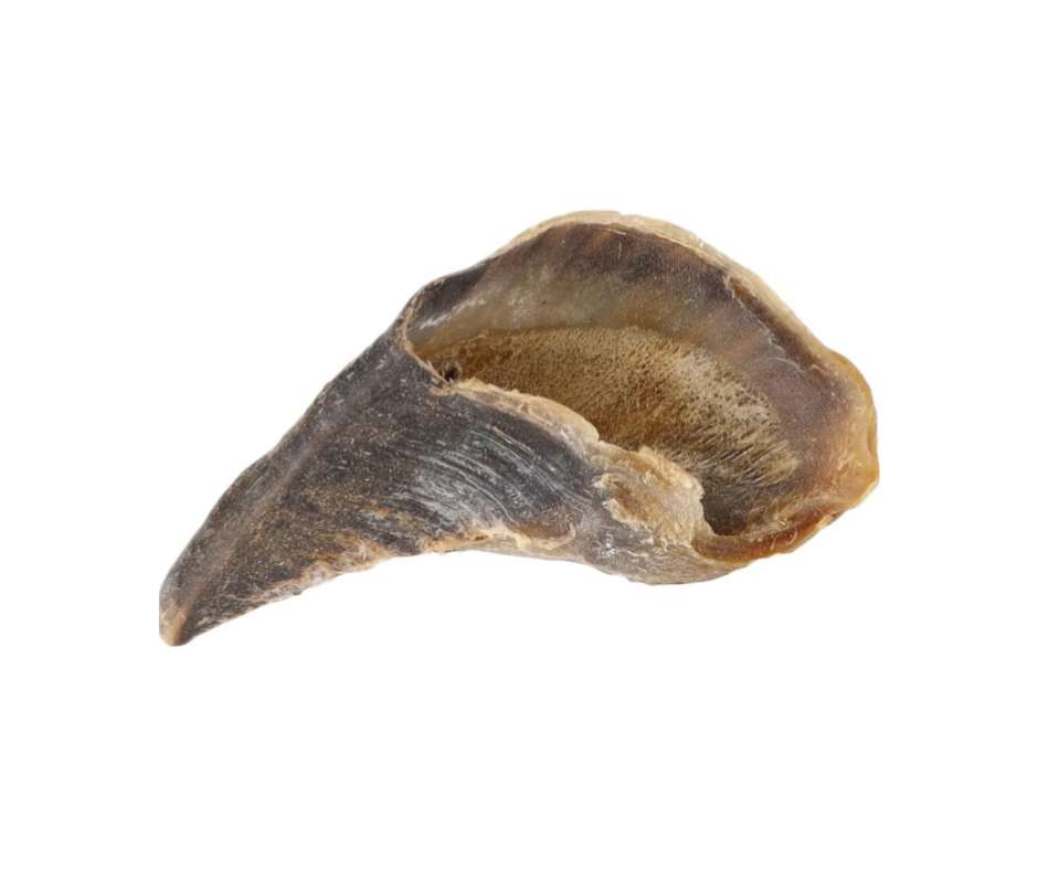 Sabot de vache 2,50€ la pièce 10€ les 5